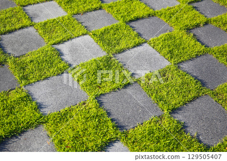 Patterned grass and concrete walkway forming a checkerboard design in outdoor sunlight. 129505407