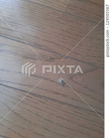 Scratches on the floor Scratches on the flooring Scratches on the floor Scratches on the flooring 129505567