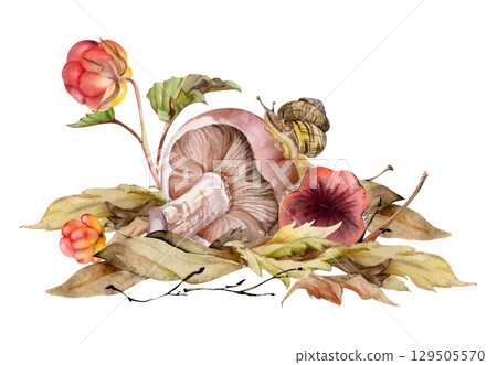 Lactarius milk-cap russula mushrooms, snail on cap, cloudberry on top of dried autumn leaves pile. Fungi natural illustration hand drawn in watercolor. Forest harvest. Herbarium, foraging journals Lactarius milk-cap russula mushrooms, snail on cap, cloudberry on top of dried autumn leaves pile. Fungi natural illustration hand drawn in watercolor. Forest harvest. Herbarium, foraging journals 129505570