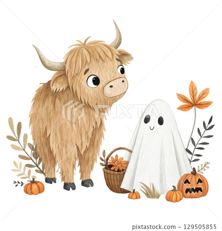 Highland cow in a Halloween theme sits on a pumpkin White Background  129505855