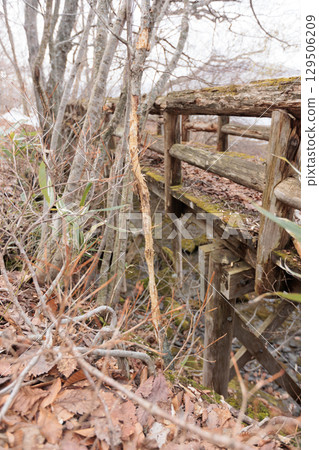 A walking path around Lake Towada in early spring 129506209