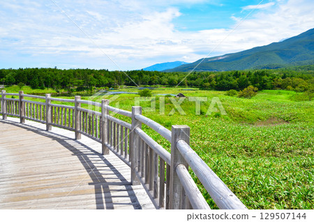 Shiretoko Five Lakes Elevated Boardwalk Okotsuku Observatory 129507144