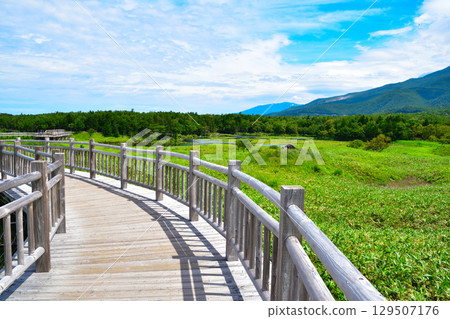 Shiretoko-Goroko Elevated tree road 129507176