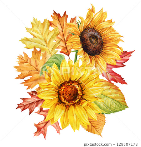Garden flowers composition. Watercolor autumn bouquet with sunflowers and golden leaves in seasonal rustic floral arrangement 129507178