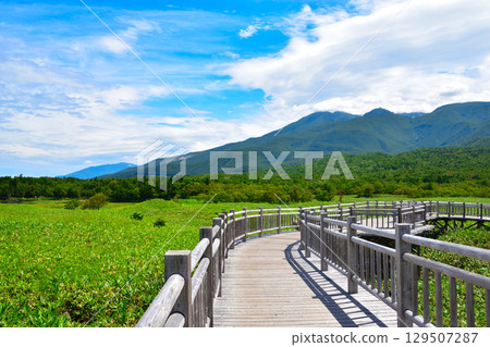 Shiretoko-Goroko高架樹路 129507287