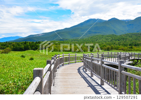 知床五湖、高架木棧道、知床山脈 129507291