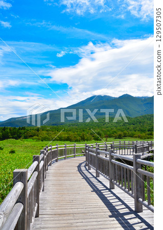 Shiretoko Five Lakes, Elevated Boardwalk, Shiretoko Mountain Range Shiretoko Five Lakes, Elevated Boardwalk, Shiretoko Mountain Range 129507305