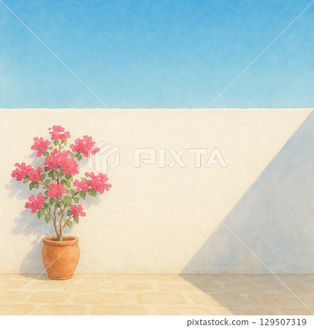 A Southern European-style landscape with white walls and potted bougainvillea A Southern European-style landscape with white walls and potted bougainvillea 129507319