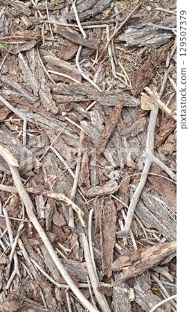 Grunge dark wooden texture background Grunge dark wooden texture background 129507379