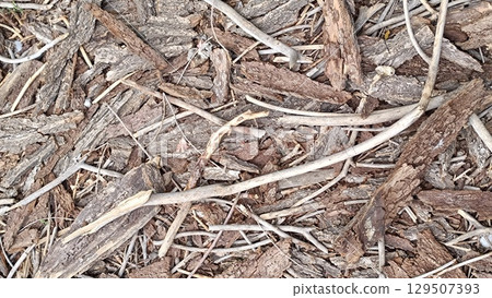 Grunge dark wooden texture background 129507393