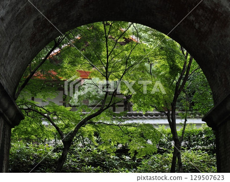 夏天的南禪寺水樓閣 129507623
