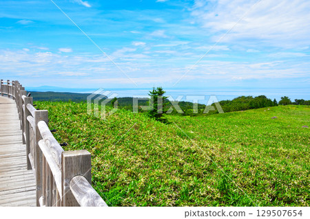 Shiretoko Five Lakes: The Sea of Okhotsk from the elevated boardwalk 129507654