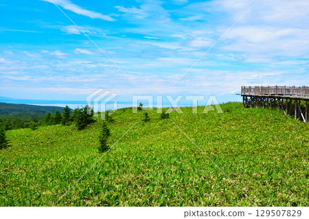 Shiretoko Five Lakes: The Sea of Okhotsk from the elevated boardwalk 129507829