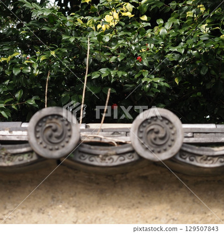 tiled wall 129507843