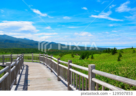 Shiretoko-Goroko高架樹路 129507853