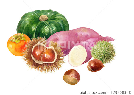 秋收水彩畫：柿子、栗子、地瓜、南瓜 129508368