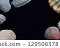 Title page decorated with seashells 129508378