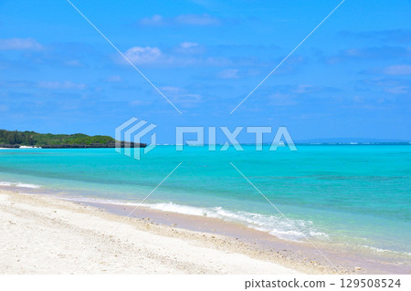 Yoronjima Okanehisa海岸 129508524