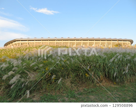 鈴木日產體育場 129508896