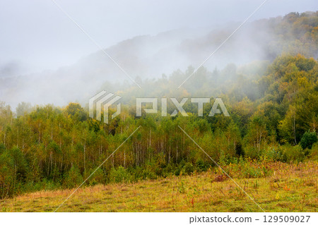 mountainous rural landscape of ukraine in autumn. moody highland woods. grassy meadow on a misty morning. carpathian countryside scenery with forest on a hill behind the pasture mountainous rural landscape of ukraine in autumn. moody highland woods. grassy meadow on a misty morning. carpathian countryside scenery with forest on a hill behind the pasture 129509027