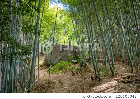 Masuda Iwafune (Kashihara City, Nara Prefecture) 129509042