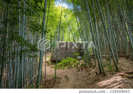 Masuda Iwafune (Kashihara City, Nara Prefecture) 129509043