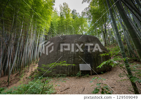 Masuda Iwafune (Kashihara City, Nara Prefecture) 129509049