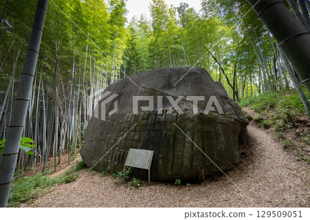 Masuda Iwafune (Kashihara City, Nara Prefecture) 129509051