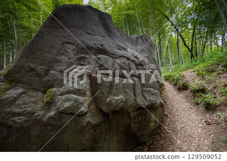 Masuda Iwafune (Kashihara City, Nara Prefecture) 129509052