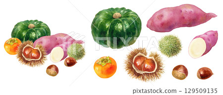 秋日滋味：南瓜、柿子、栗子和地瓜的水彩插畫。各式各樣的水果和各種組件的插圖。 129509135