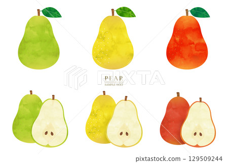 Watercolor illustration set of various pears Watercolor illustration set of various pears 129509244
