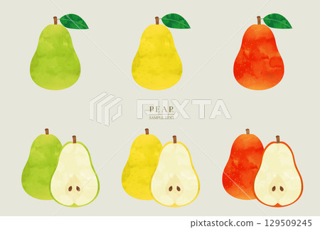 Watercolor illustration set of various pears (vector version) Watercolor illustration set of various pears (vector version) 129509245