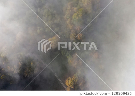 Aerial top down view of autumn misty forest canopy 129509425