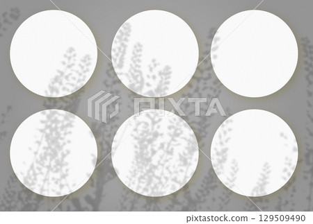 Natural light casts shadows from wild grasses on 6 round sheets of white textured paper lying on a gray textured background. Mockup 129509490
