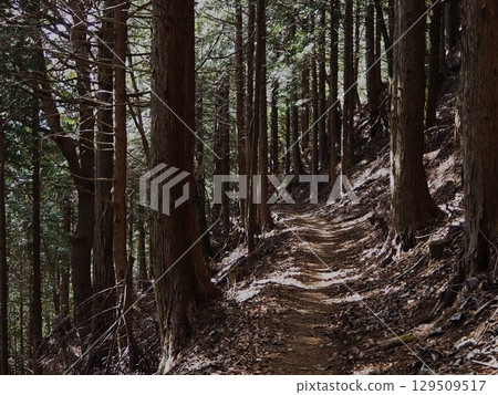 三通Pass的山路 三通Pass的山路 129509517