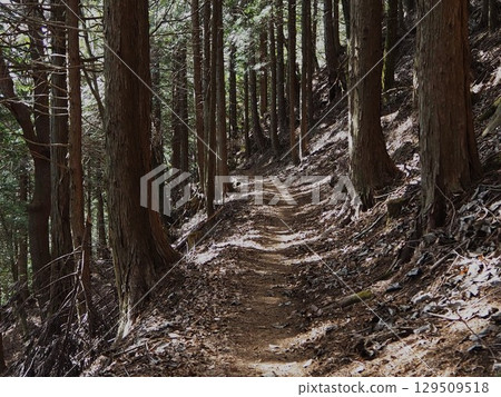 Mitsutoge mountain road 129509518