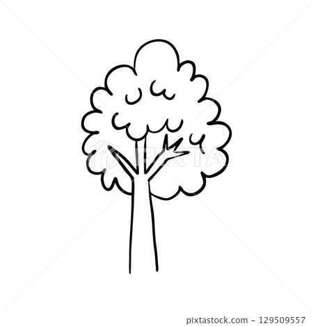 Simple Black and White Line Drawing of a Tree Illustration Simple Black and White Line Drawing of a Tree Illustration 129509557