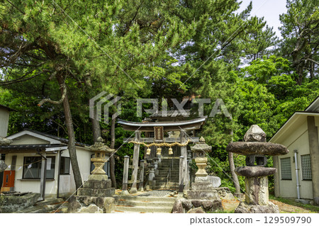 Uradome Coast, Arasuna Shrine, Iwami Town, Tottori Prefecture 129509790