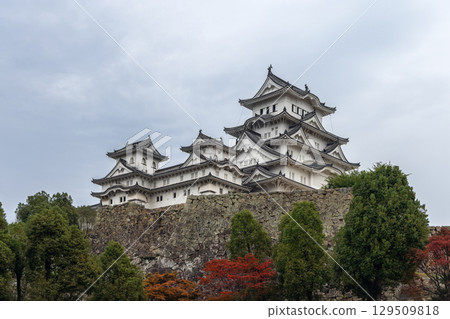 Himeji Castle rising above colorful autumn trees with massive stone fortifications and cloudy sky Himeji Castle rising above colorful autumn trees with massive stone fortifications and cloudy sky 129509818