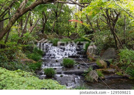 Small cascade among rocks and lush greenery in a Japanese park 129509821