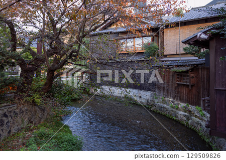 Evening view of a canal in Kyoto, Japan with traditional wooden houses, overhanging tree branches 129509826