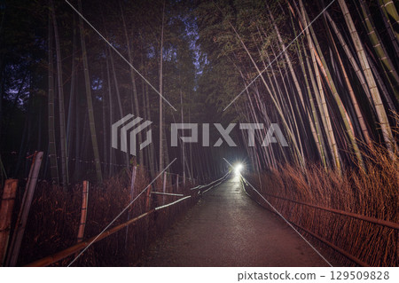 Before sunrise in Kyoto, distant headlamp illuminates the bamboo path in Arashiyama 129509828