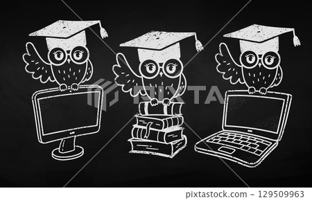 Cute owls in graduation hats Cute owls in graduation hats 129509963