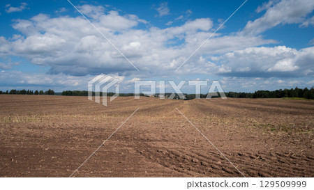 Bright sky with fluffy clouds overlooks a recently plowed field, showcasing rich brown soil. Greens from distant trees add contrast to the landscape in this rural setting. Bright sky with fluffy clouds overlooks a recently plowed field, showcasing rich brown soil. Greens from distant trees add contrast to the landscape in this rural setting. 129509999
