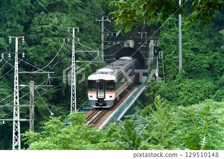 飯田線特急伊納吉號列車穿過隧道 129510148