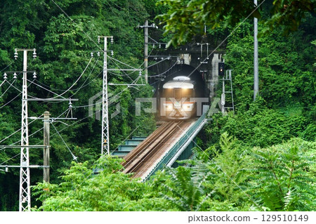 飯田線特急伊納吉號列車穿過隧道 129510149