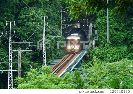 飯田線特急伊納吉號列車穿過隧道 129510150