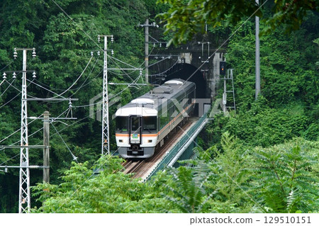 Iida Line Limited Express Inaji train passing through a tunnel 129510151