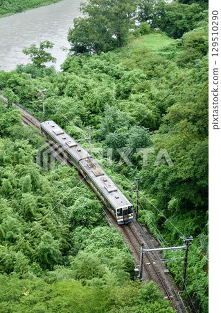 Iida Line 213 series running through fresh greenery 129510290