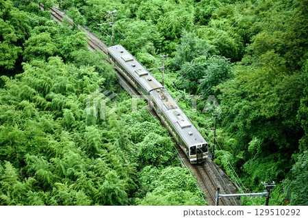 飯田線213系列在新綠中穿梭 129510292